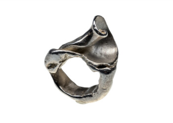Ring "Muschelsegment", Silber Ring "Muschelsegment", Silber